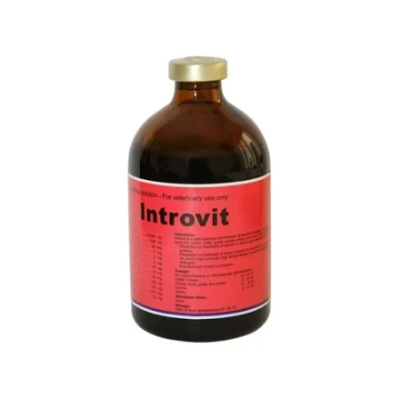 اینتروویت Introvit