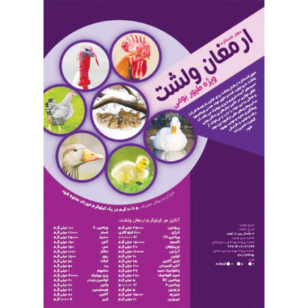 سوپر کنسانتره ارمغان ولشت ویژه طیور بومی ۲ کیلویی