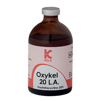 اکسی کل50 سی سی Oxykel 20 L.A