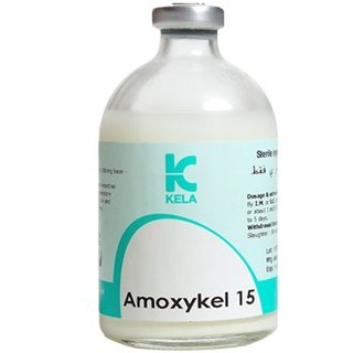 سوسپانسیون آموکسی کل شرکت کلا بلژیک 100 سی سی